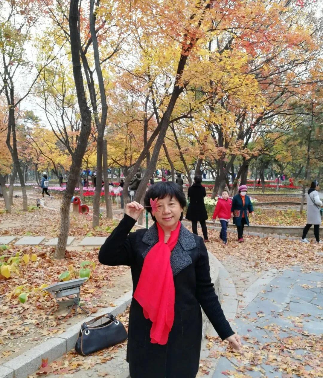 北戴河怪楼奇园景区冬季,北戴河景点怪楼奇园