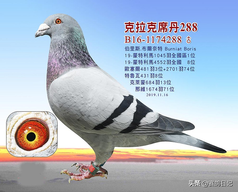 依天迪沃斯席丹号，伯里斯鸽系的起点