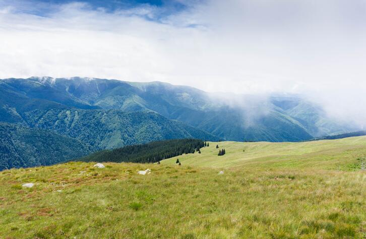 亚马逊跨境电商开店流程及费用9.9,亚马逊跨境电商开店流程及费用表