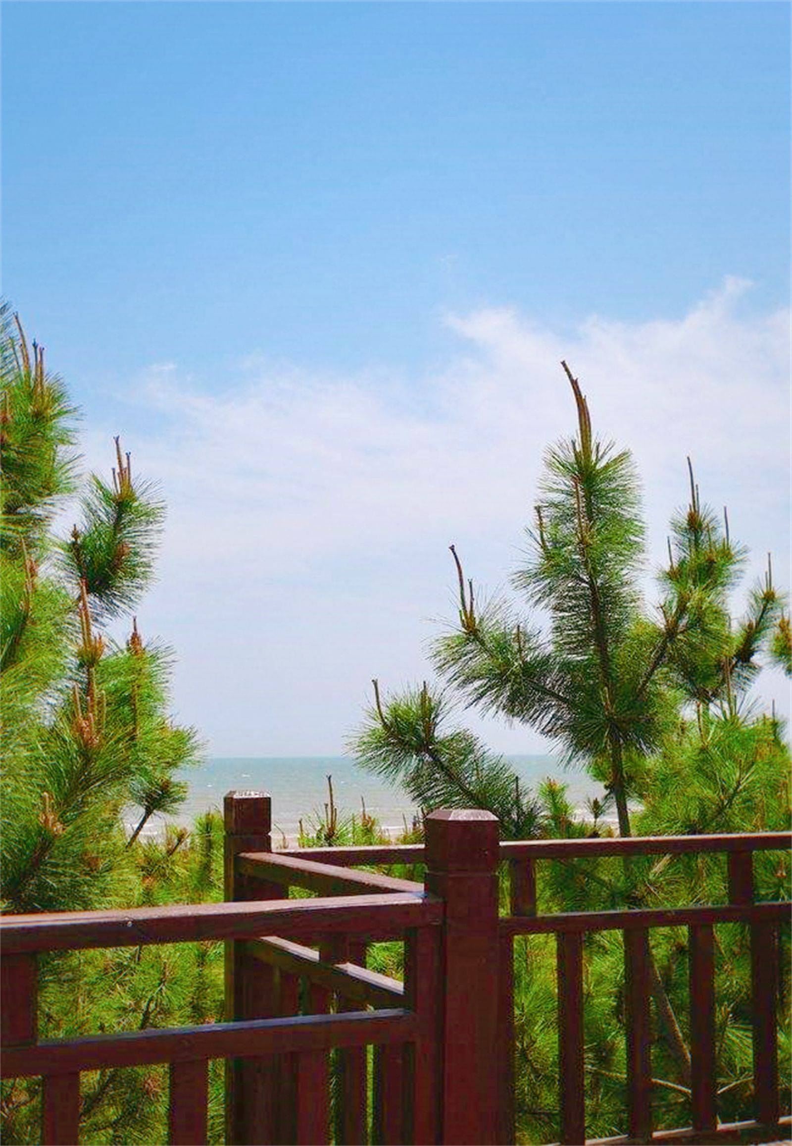 日照两天一夜的良心旅游攻略,报团去日照旅游攻略