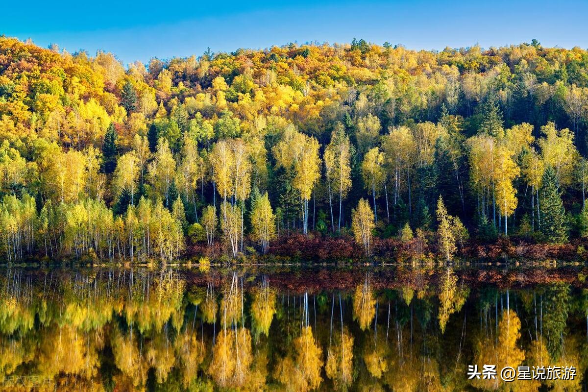 黑龙江省有几个5a级景区,黑龙江玻璃栈道景区有哪些