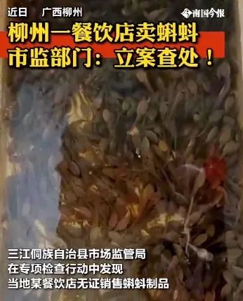 没有一只小龙虾可以活着游出长江,没有一只蝌蚪能活着走出广西