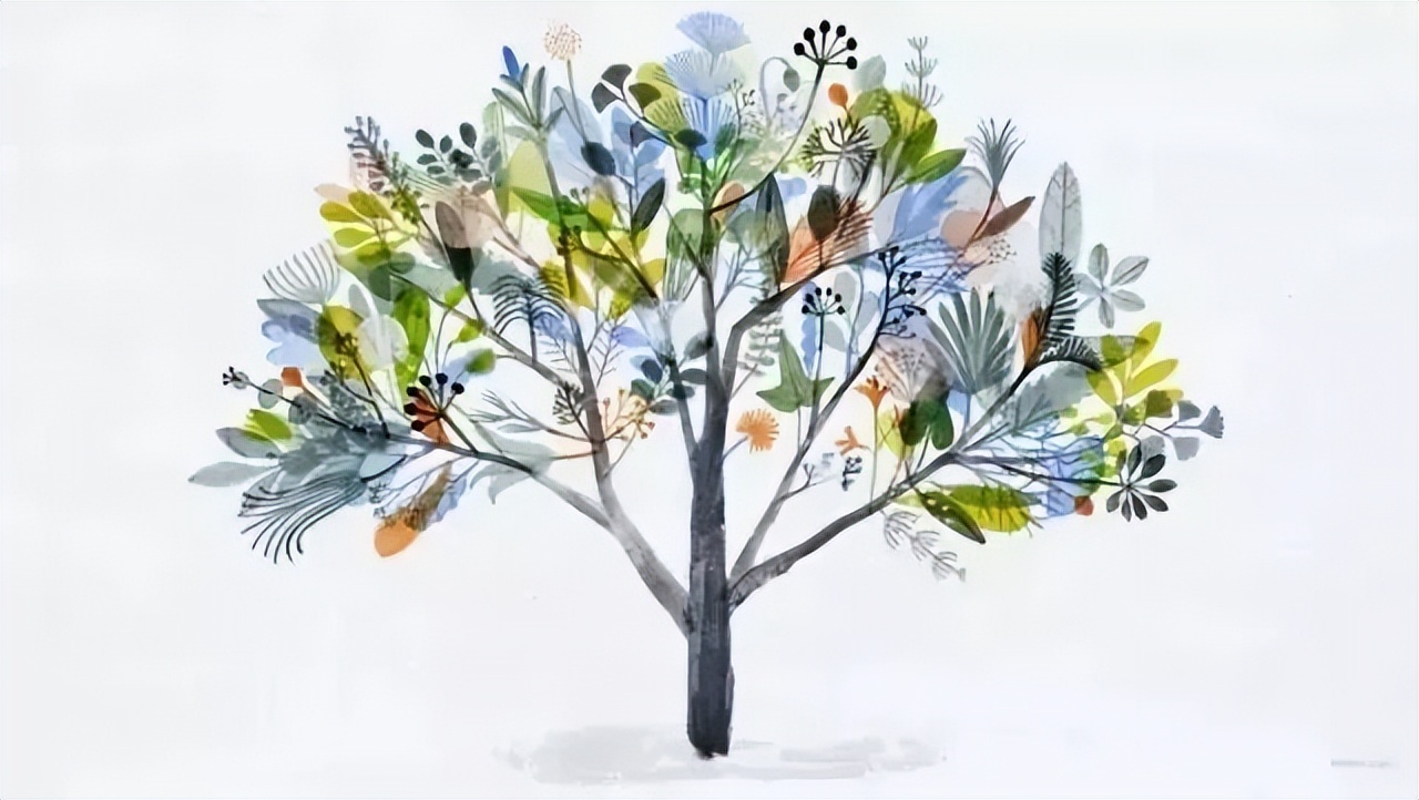 荟同国际学校如何,荟同学校深圳校区高中