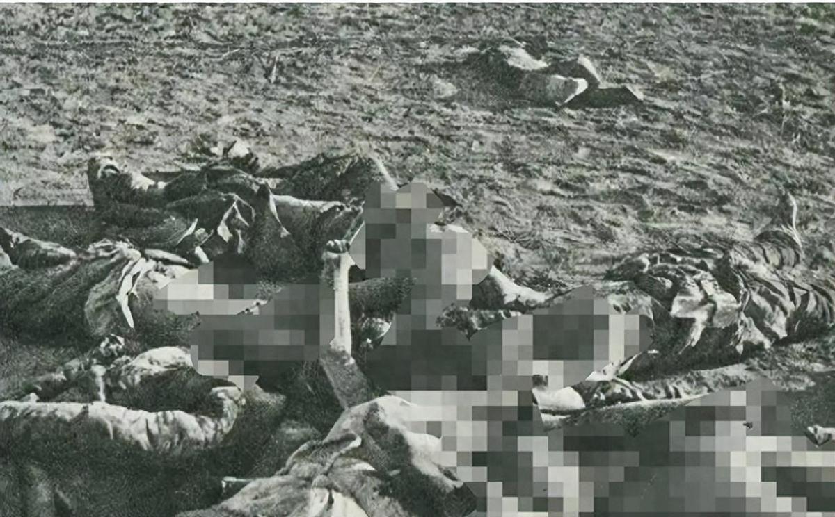 日军在湖南省武冈的暴行,日寇扫荡惨案