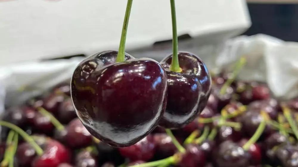 开水果店一年利润有多少钱,开水果店一般收入一年有多少