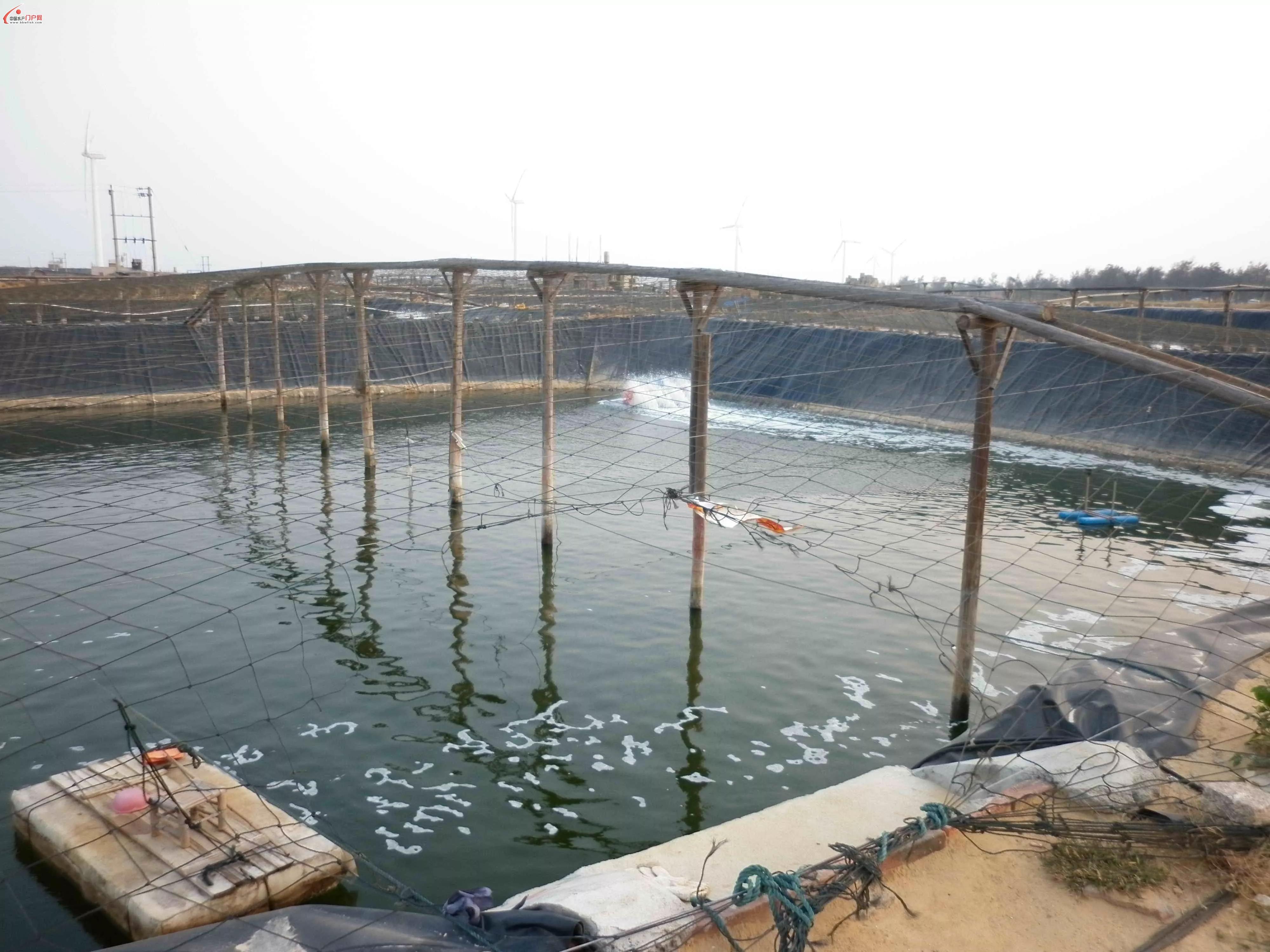 高位池总碱度低怎么处理,高位池总碱度正常范围是多少