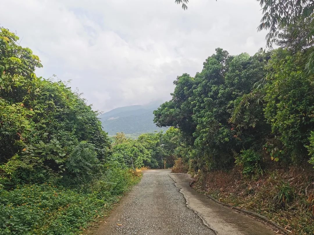 广州从化第一峰天堂顶,广州第一峰从化