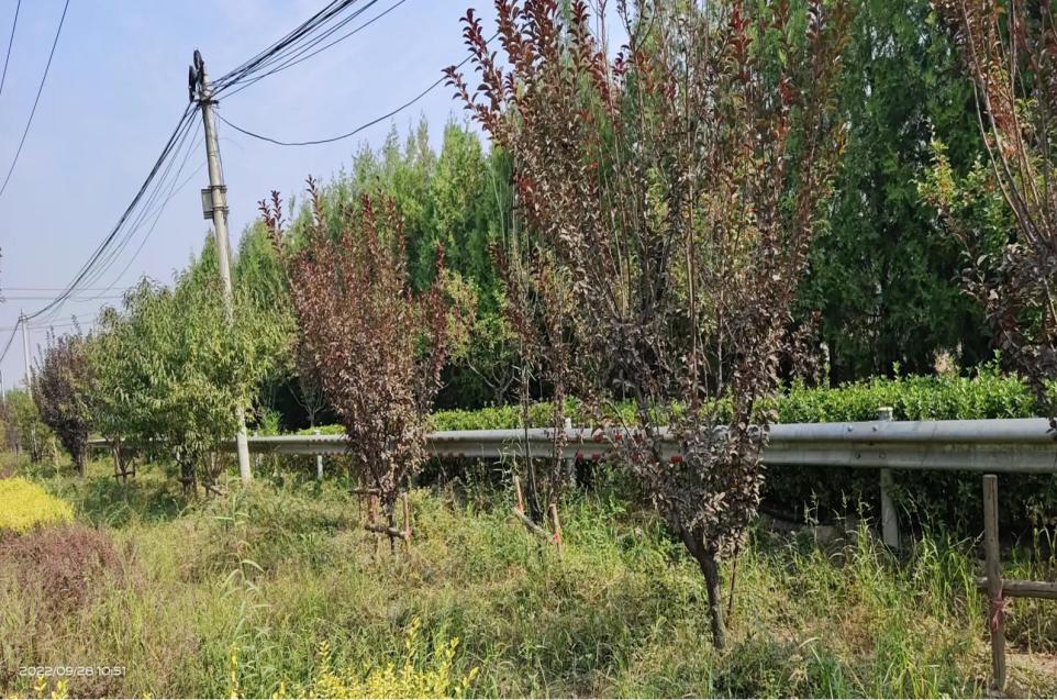 大兴土地入市,大兴即将入市的地块