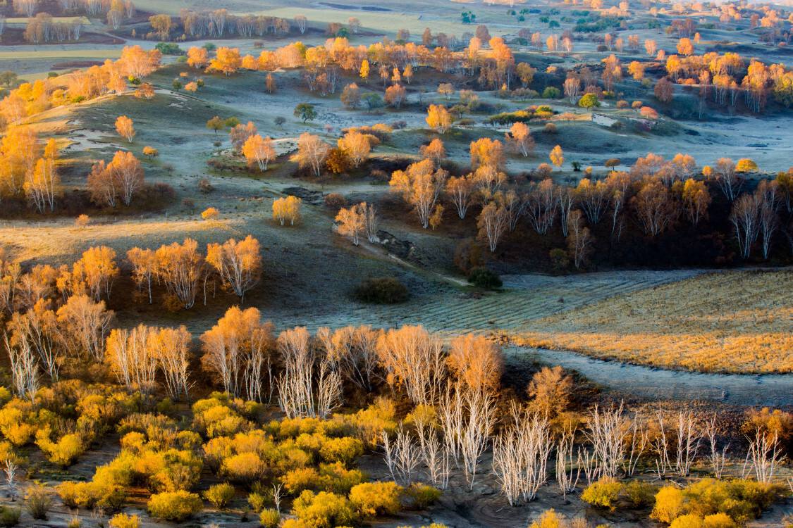 打卡这几天最好玩的地方,打卡去玩的好地方