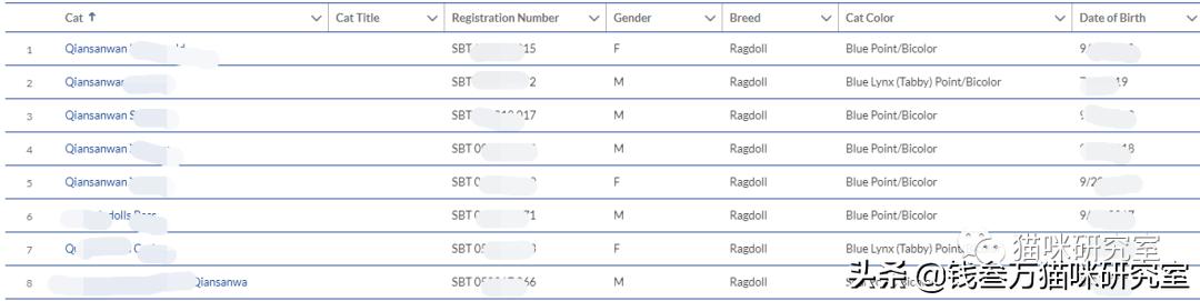 买猫防坑指南,新手买猫要买哪几种猫
