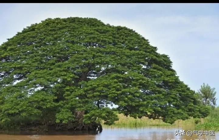 五行火与金的结合,木火金的五行关系