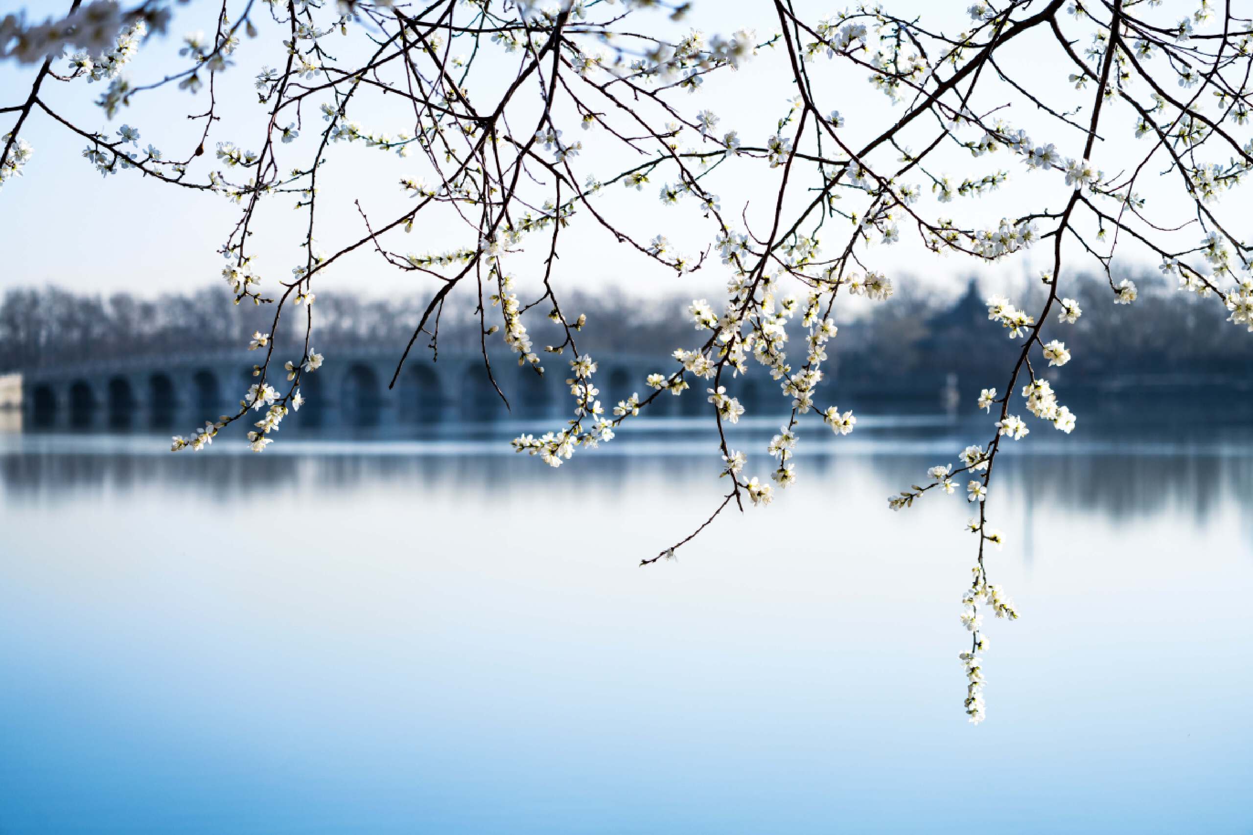 鏄ユ棩鑻忓窞鏃呮父鏀荤暐,鑻忓窞鏄ユ棩鏃呮父鎺ㄨ崘