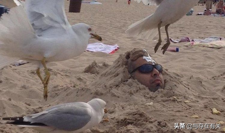 外国海滩自然风景照片,全球最美的海滩高清自然风光照片