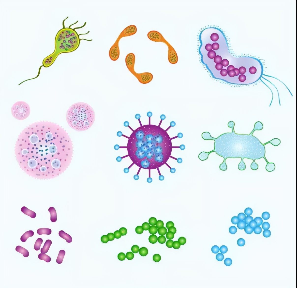 如何用生物技术解决污水处理,污水生物处理各种工艺详解