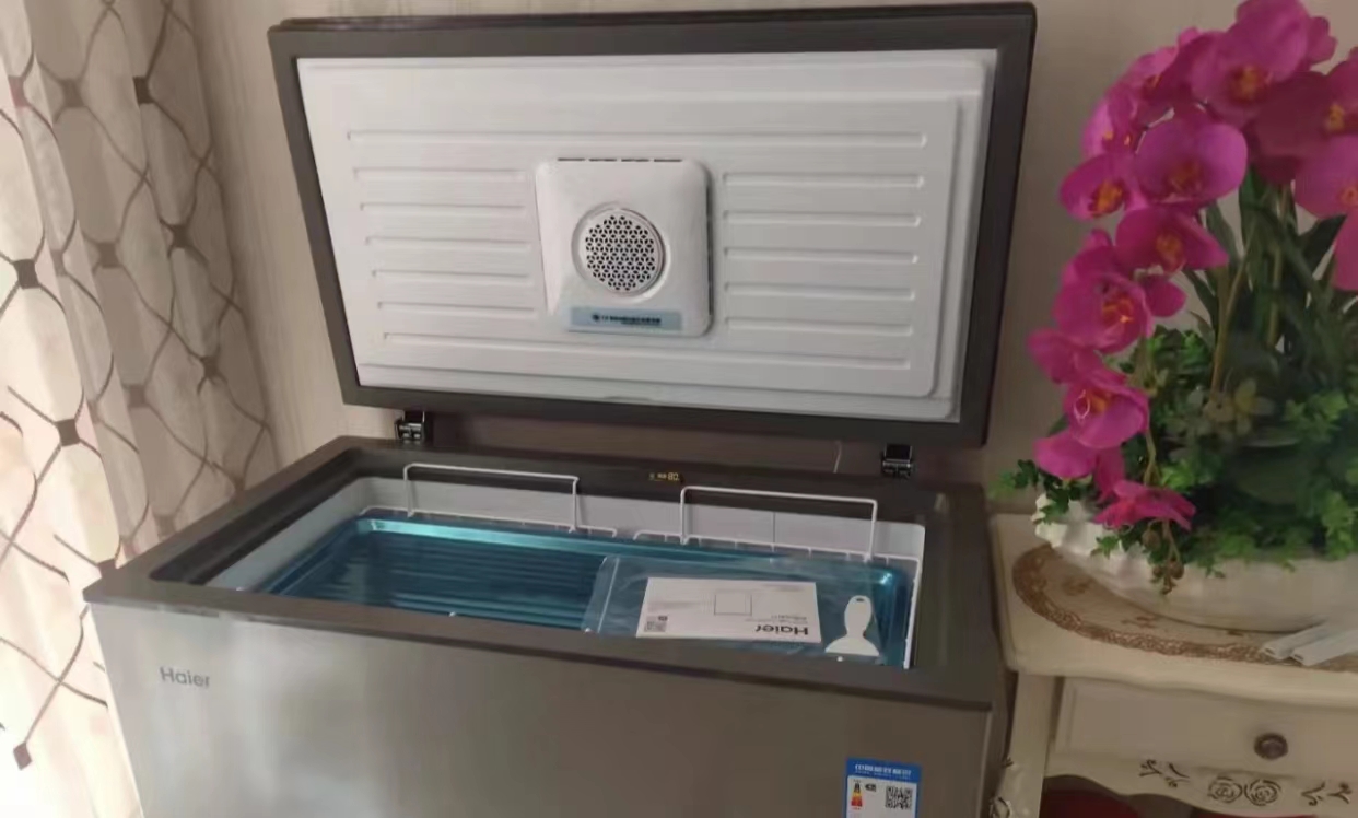 买冰柜别被忽悠了牢记三点最实用,为什么不推荐买小冰柜