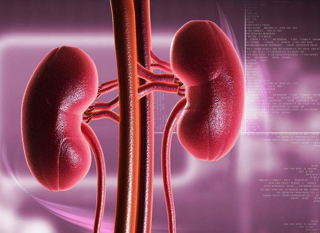 男性补肾养肾食物有哪些,男性补肾产精的食物有哪些