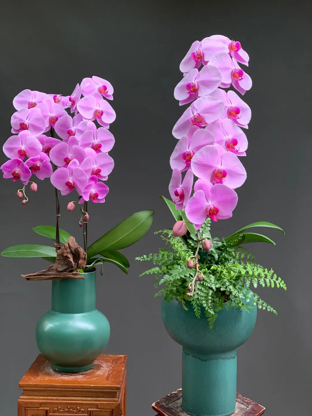 鲜花消费需求,鲜花价格猛涨花店怎么办