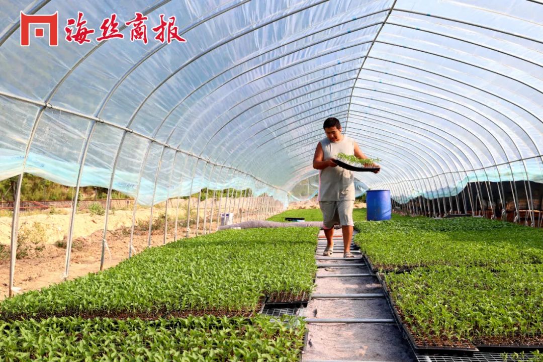 南安石井工业用地2亩,南安土地面积