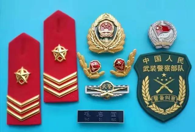 中国陆军狼牙特种部队肩章图片,07式常服肩章军衔饰品