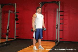 新人健身房健身一周训练计划,新手家庭健身一周训练计划