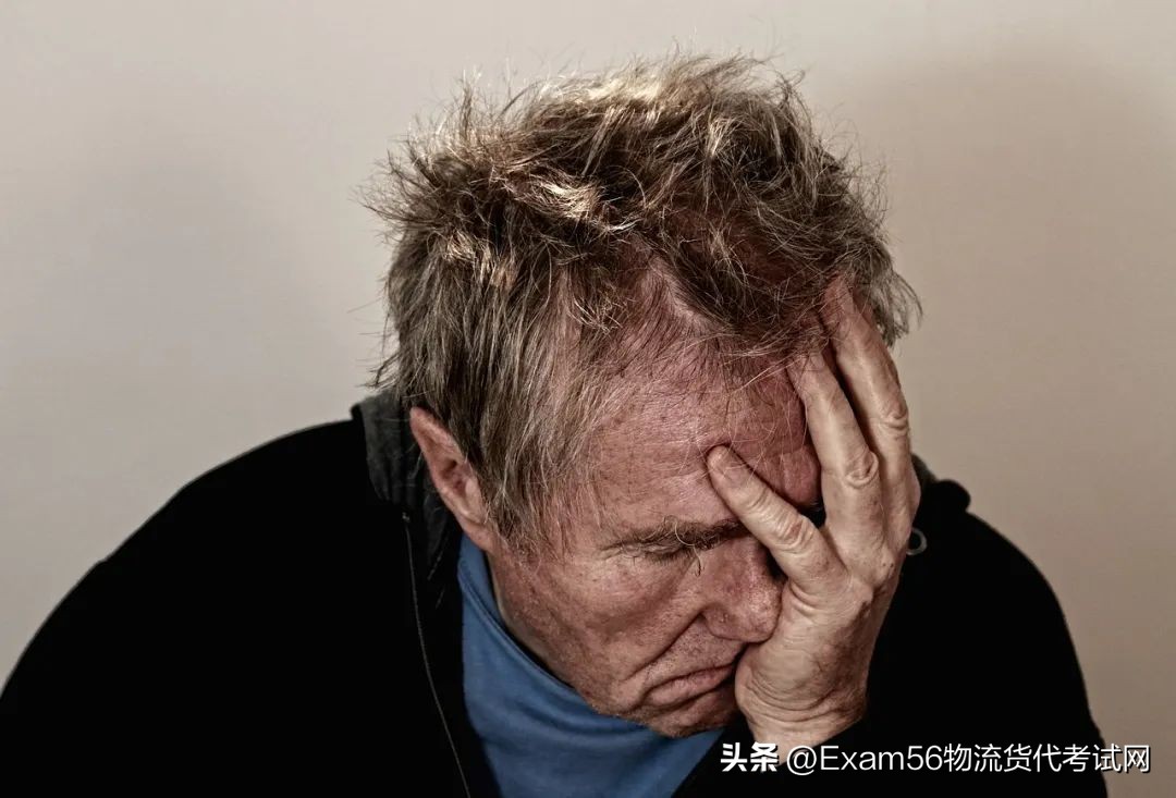 flexport业务,flexport最新信息