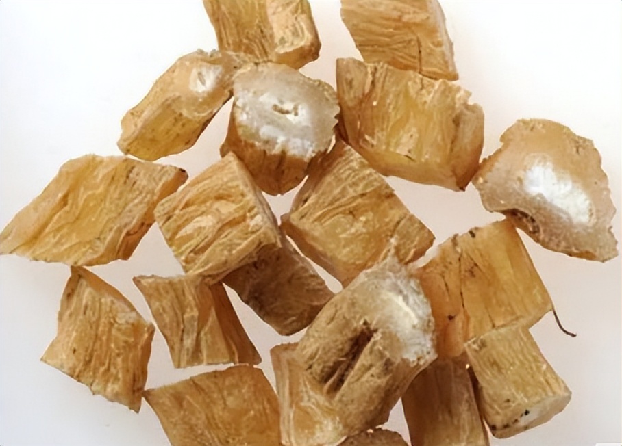 每天学一味中药百部,一味中药百部图片及功效