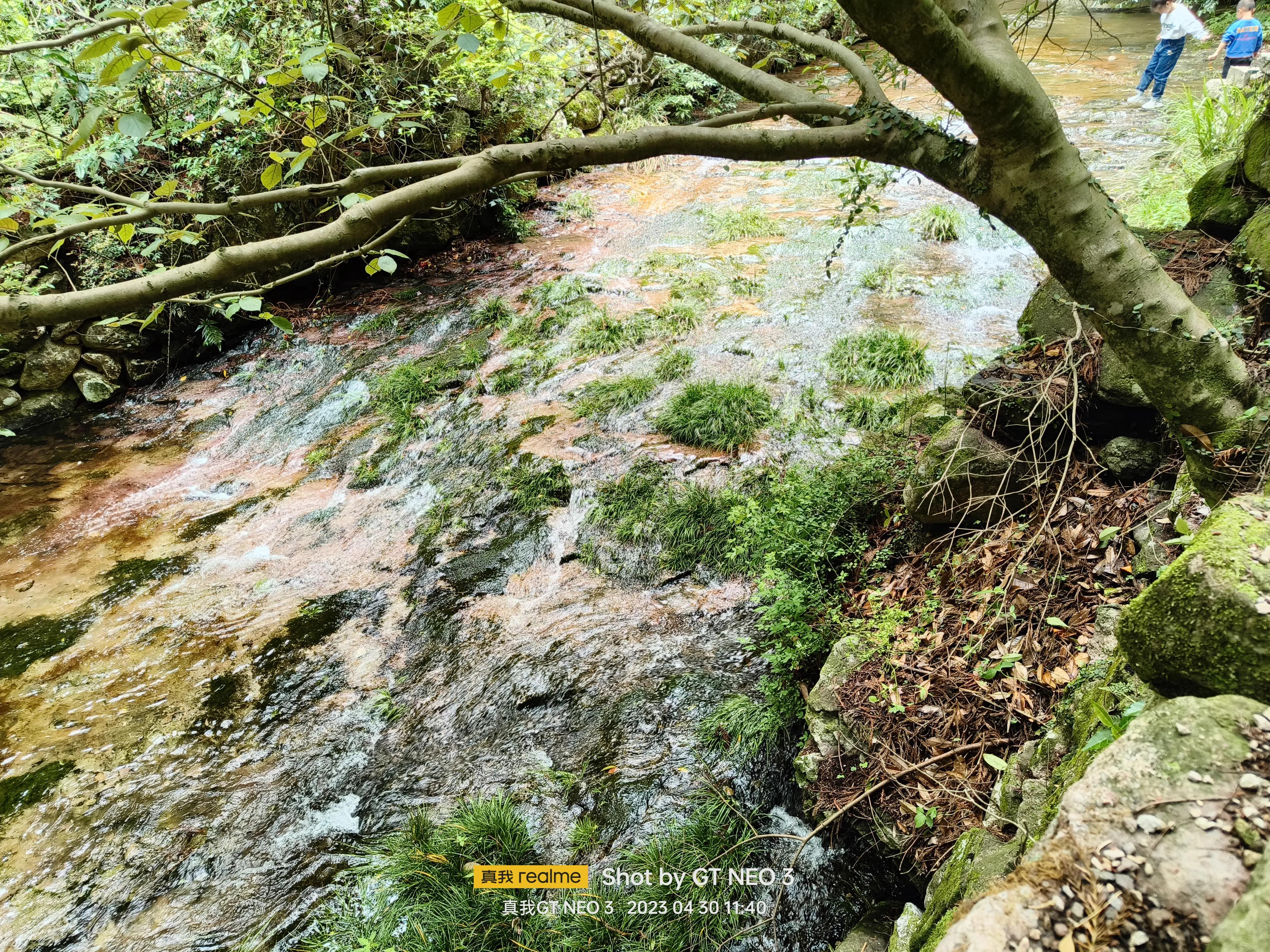 雁荡旅游日,雁荡二日游亲子