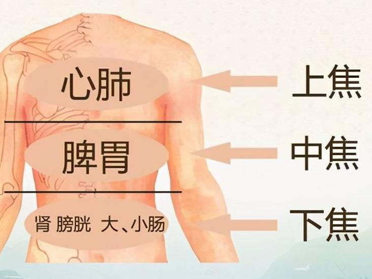 中医感冒辨证治疗图解,中医感冒基本诊断和辨证论治方法