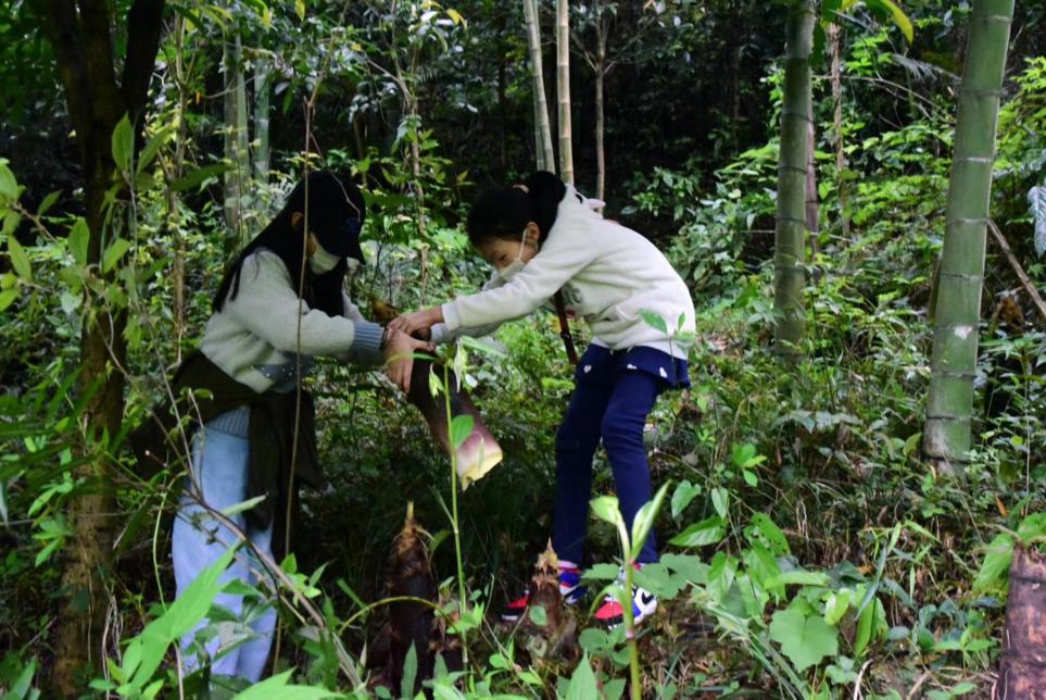 好评率99%！这个深得“特种兵”们青睐的小镇，深山觅静寺、秘境探幽意，私藏了整个夏日的色彩～