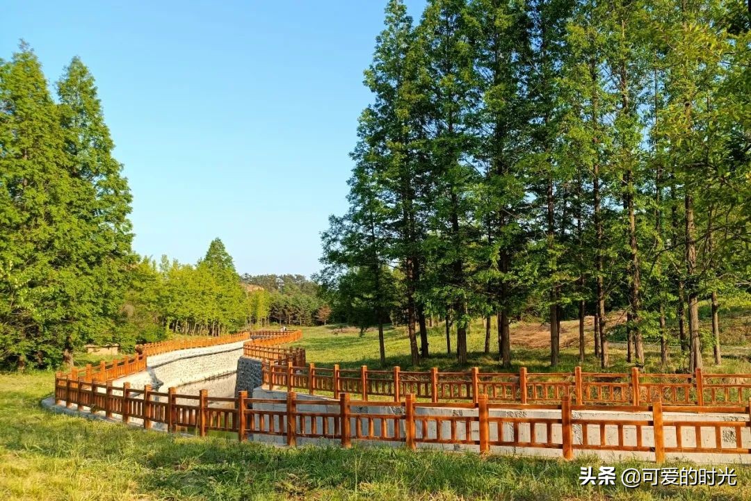 大连棒棰岛风景区最美图片,大连棒棰岛景区夏天美景