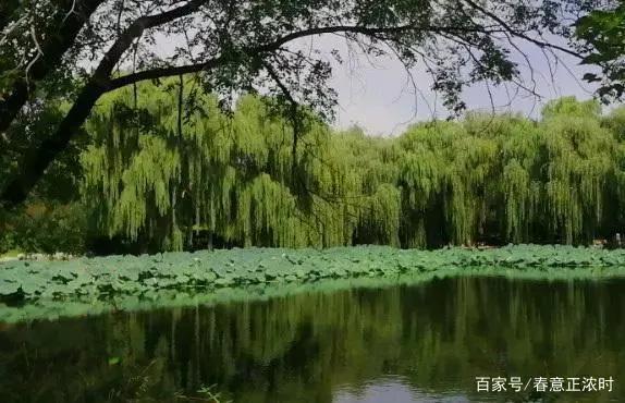 怎么把自己锻炼耳聪目明,怎么锻炼可以变得耳聪目明