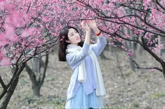 赏一窗花开盼一世安好度一场清欢,看一窗花开盼一世安好度一场清欢