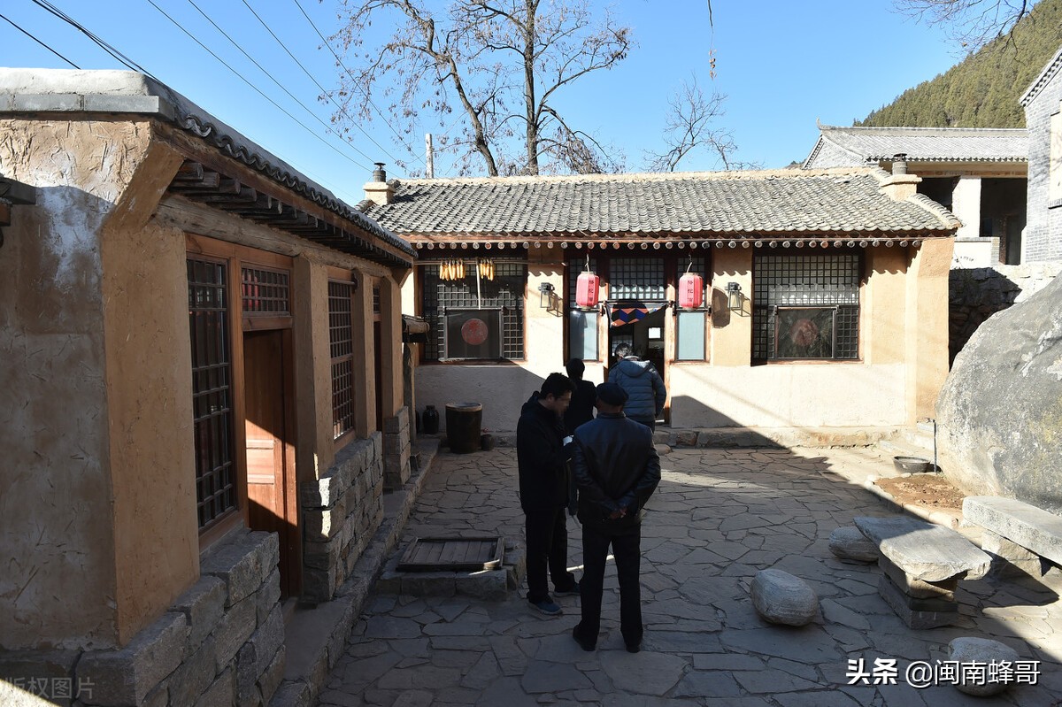 土鸡养殖项目推荐,投资小利润高农村养殖场