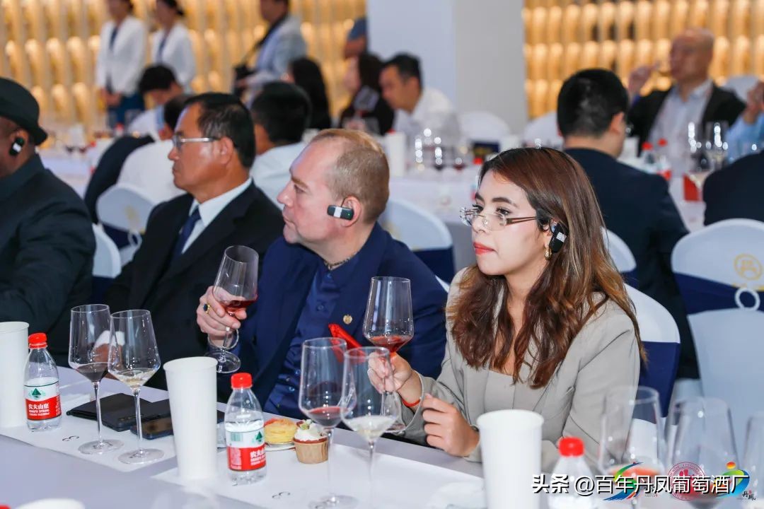 2024第五届丹凤西部红酒节,2024丹凤红酒节