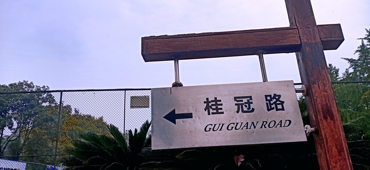 成都体育学院毕业生去向,成都体育学院研究生毕业就业前景