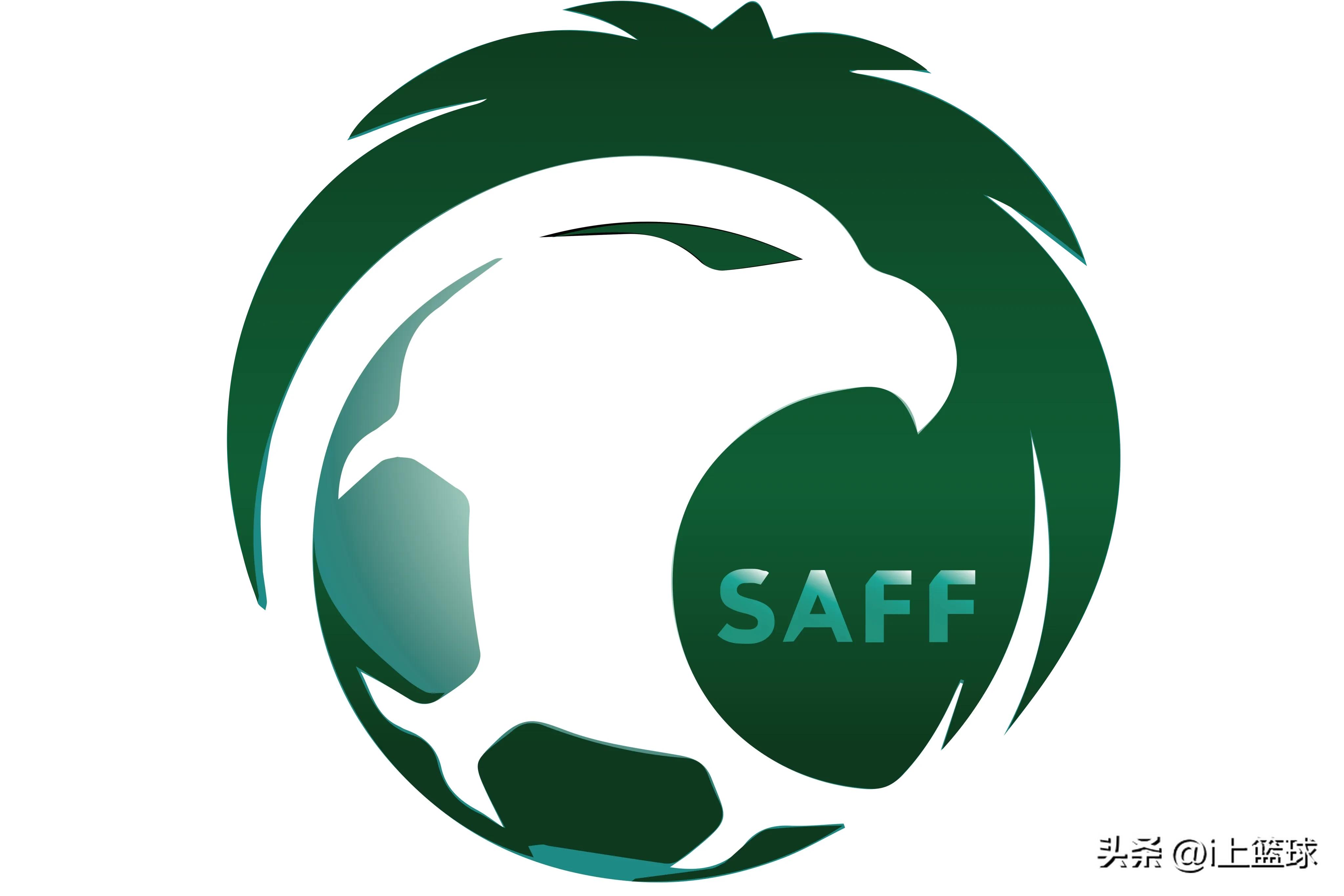 卡塔尔世界杯各队别称,卡塔尔世界杯上的奇葩名字