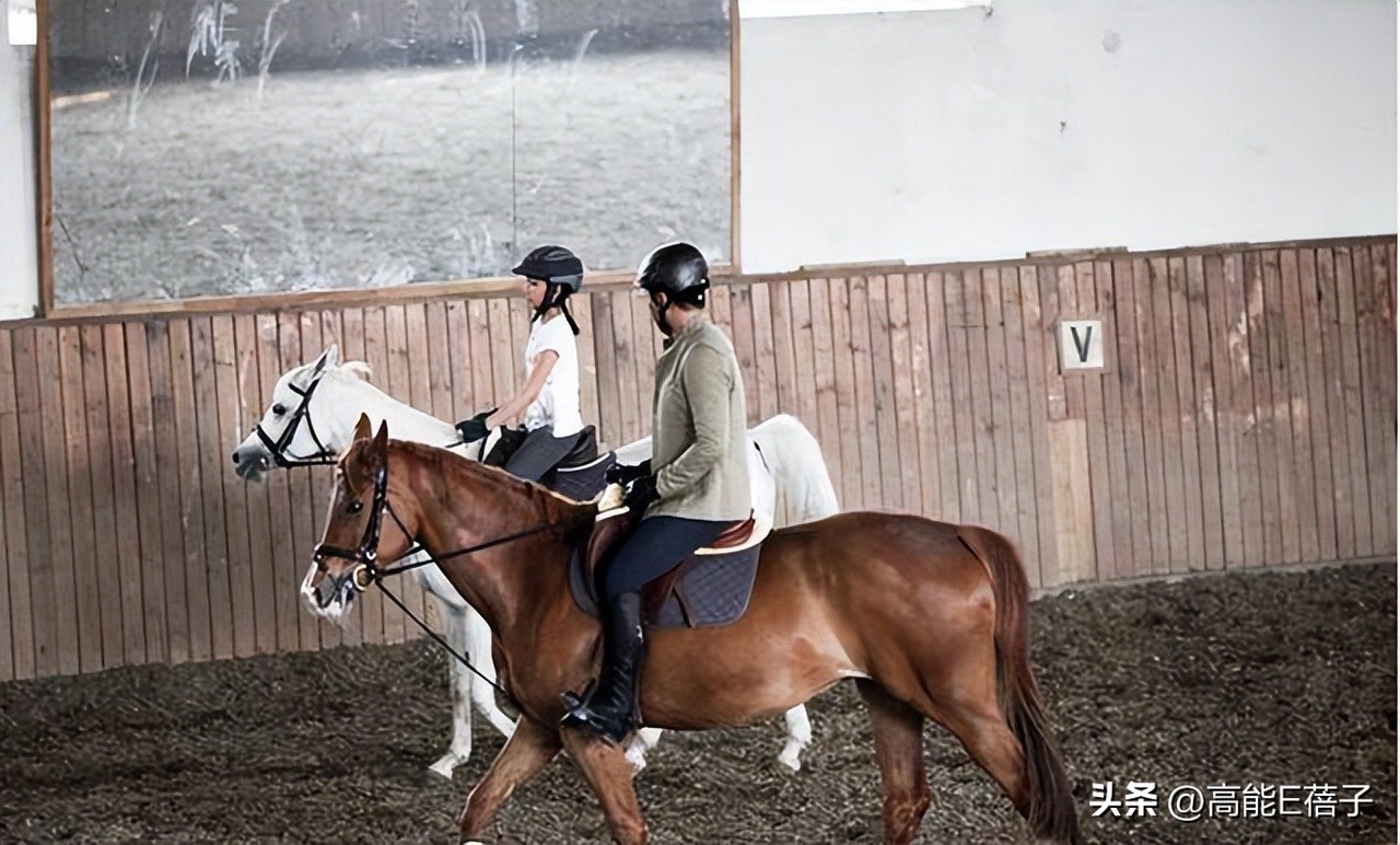 鸡娃各种兴趣班真的有用吗,鸡娃兴趣班