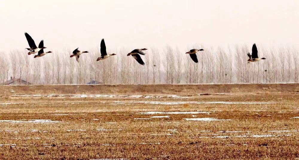 秋思最好听的十首诗,最美秋思的诗句