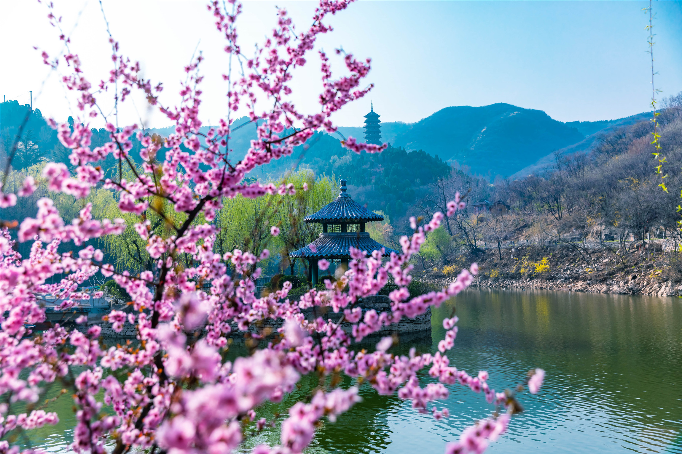 济南红叶谷门票团购9.9元,济南红叶谷优惠活动