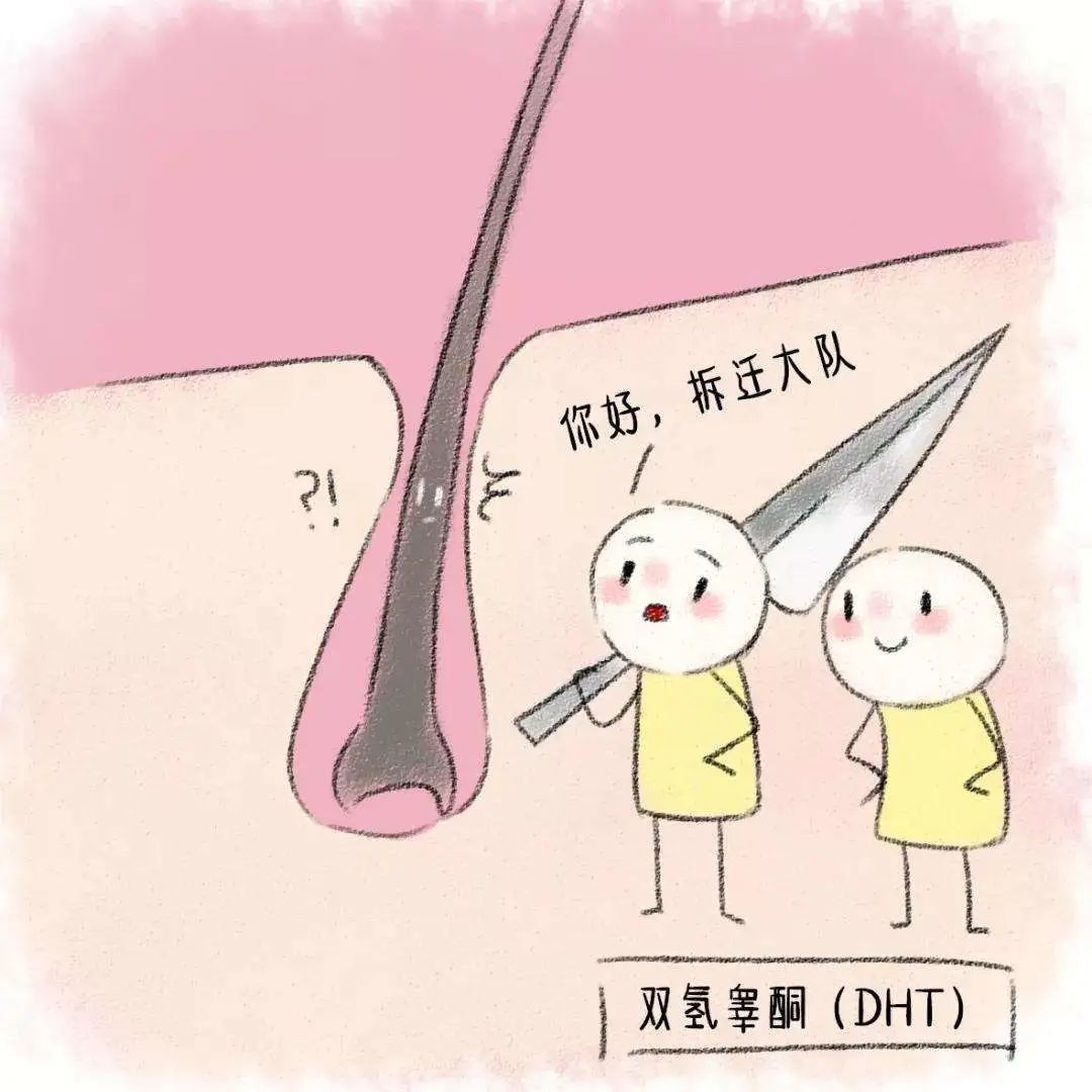 发际线处头发稀少怎么调理,中医怎么治疗发际线高头发稀少