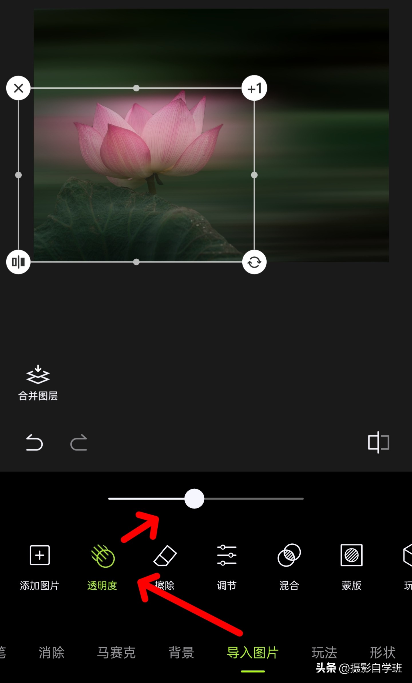 如何拍摄荷花多重曝光相片,如何拍好荷花逆光照片