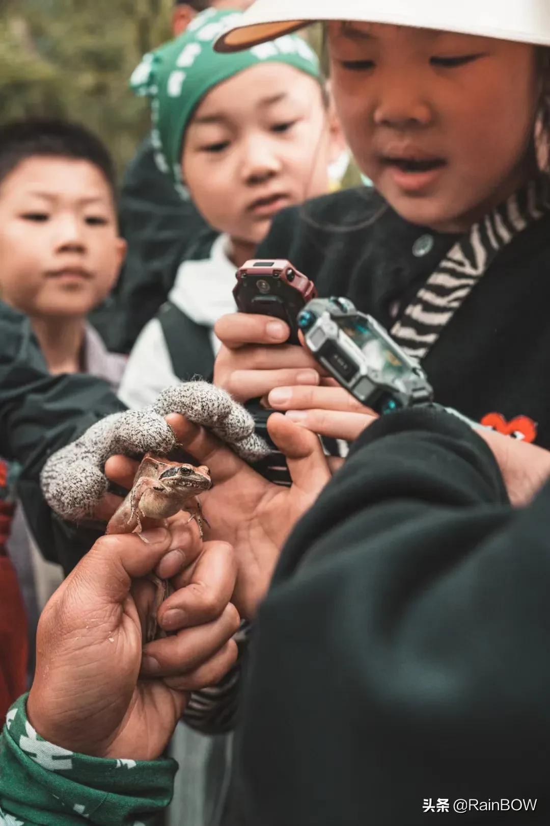 大自然中的小生命,大自然新生命的诞生