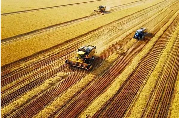 资本下乡能干什么,三农政策对三农的好处