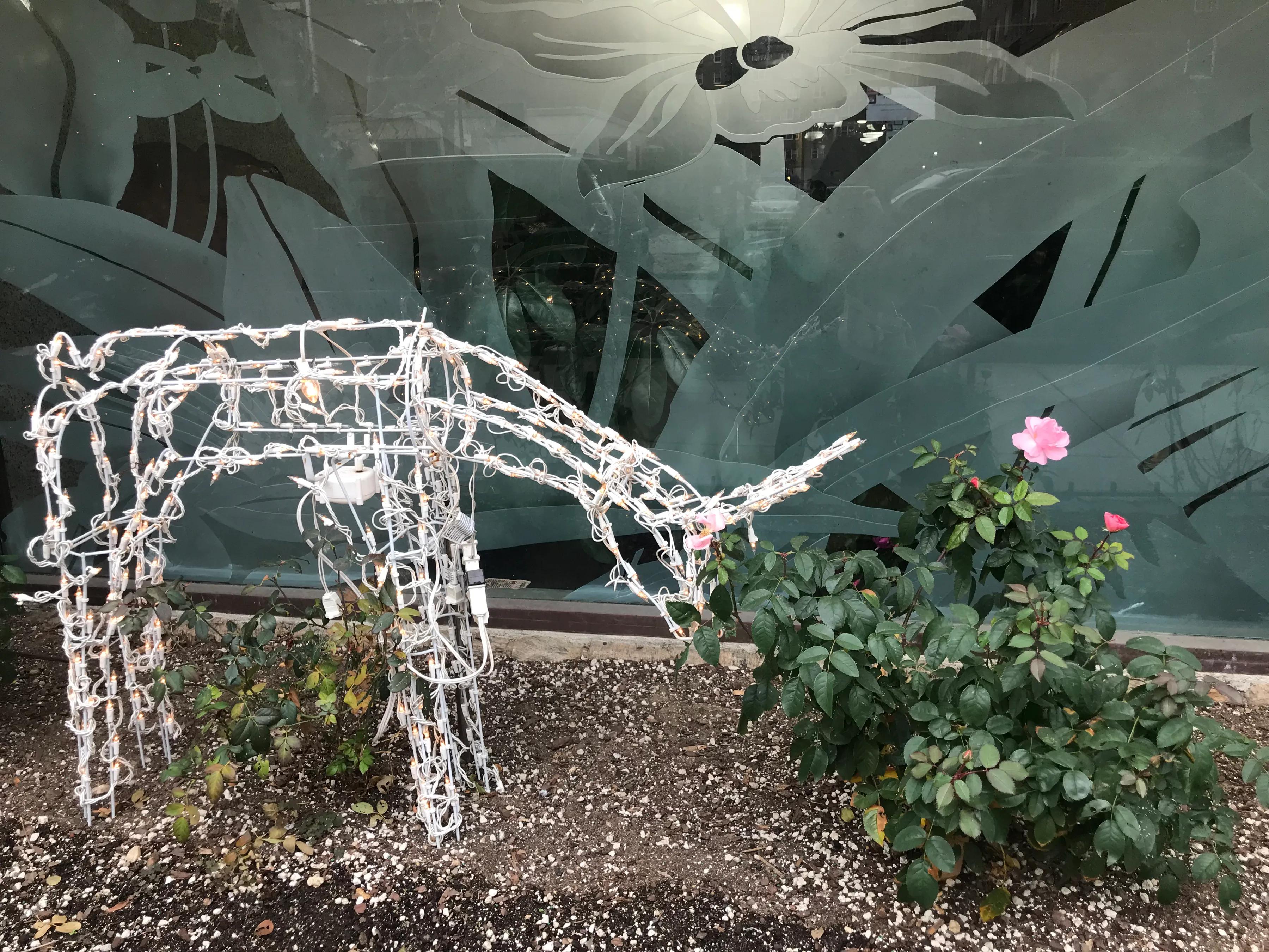 纽约生活在哪个区好,纽约市生活条件怎么样