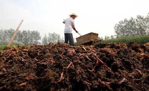 禽畜粪便环保处理,畜禽粪便处理循环利用利弊