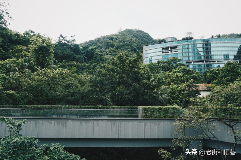 罗生门和黄粱梦,罗生门香港live