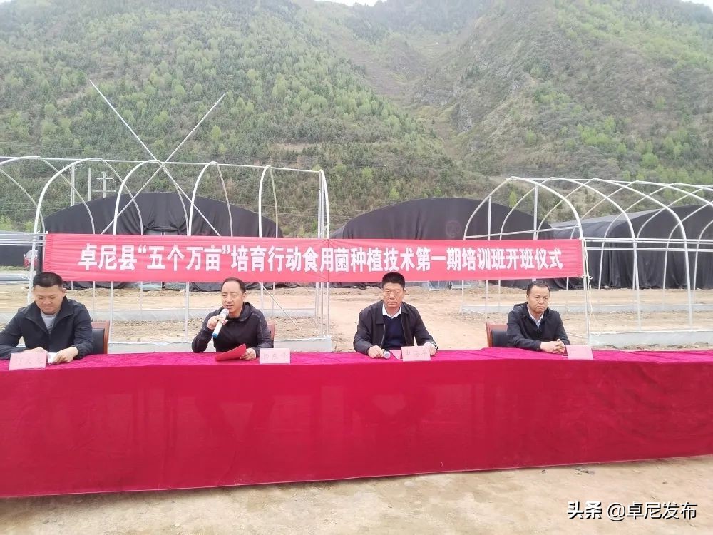 食用菌种植技术培训简报,卓尼县食用菌