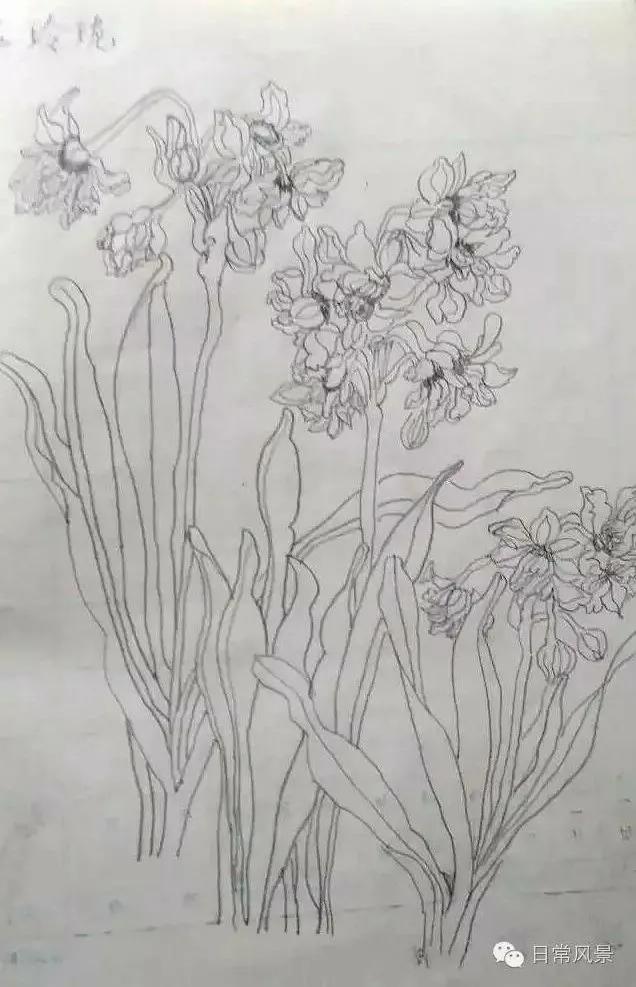 婆婆画画,婆婆画画教程