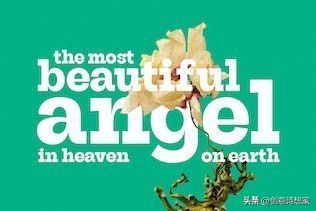 设计美学插画,电商字体设计师必备素材