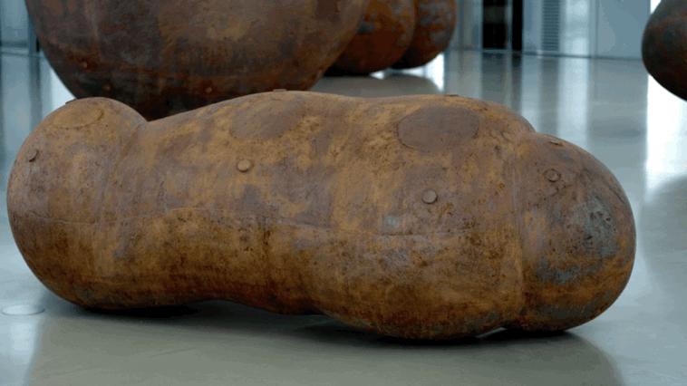 最高级的素质,顶级身体形态